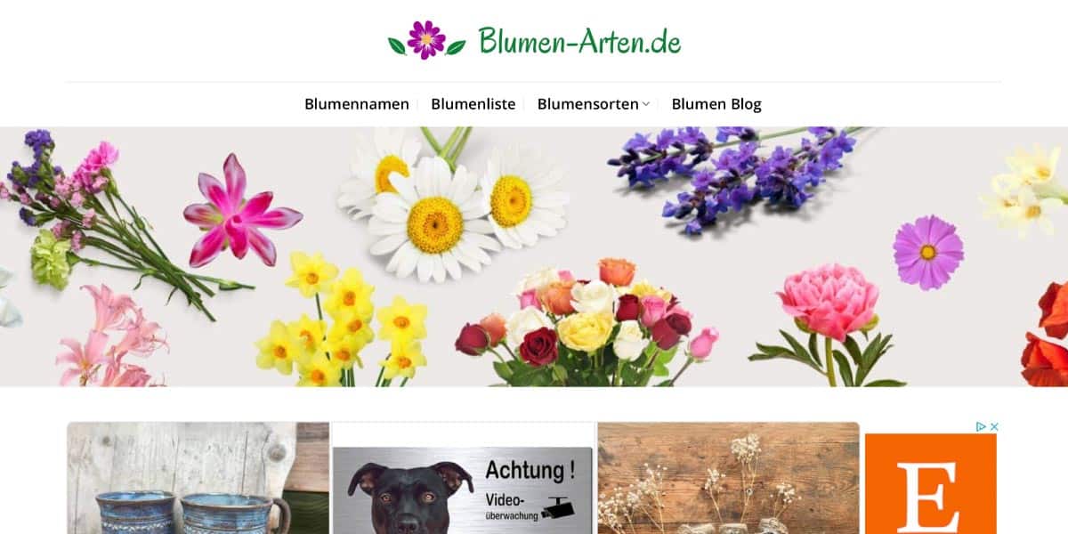 Blumen-Arten.de Vorschau